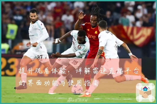 提升观看体验，详解雷速直播平台的界面功能与使用指南